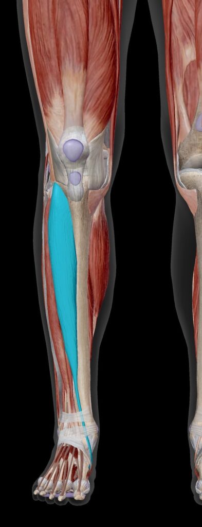 那覇マラソン　ケガ
