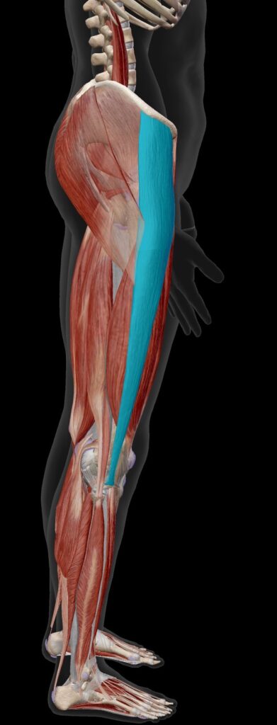 那覇マラソン　ケガ